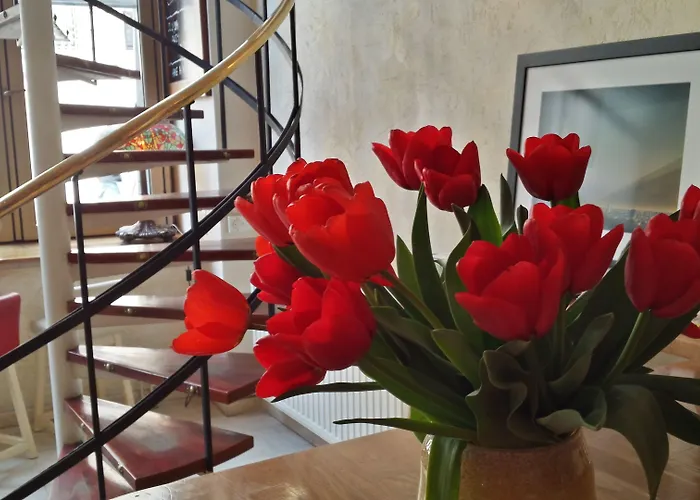 酒店 Rembrandt Old Town 3*